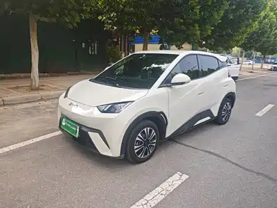 BYD Seagull