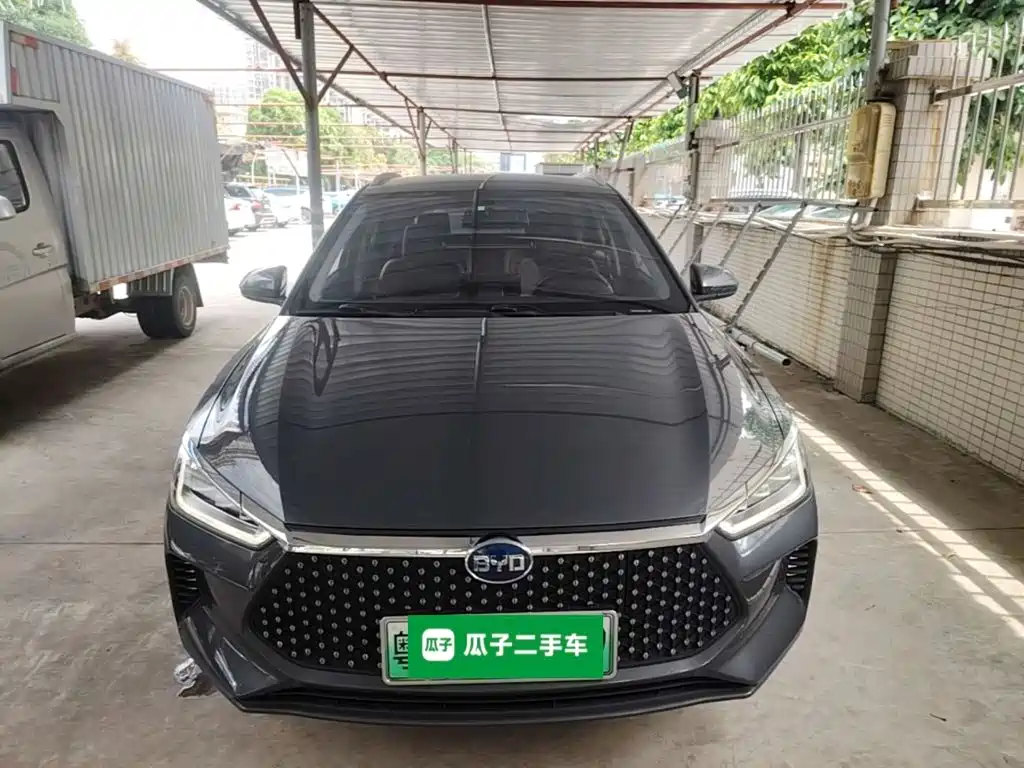 BYD e2 2021 2020 Upgraded Long Range Luxury