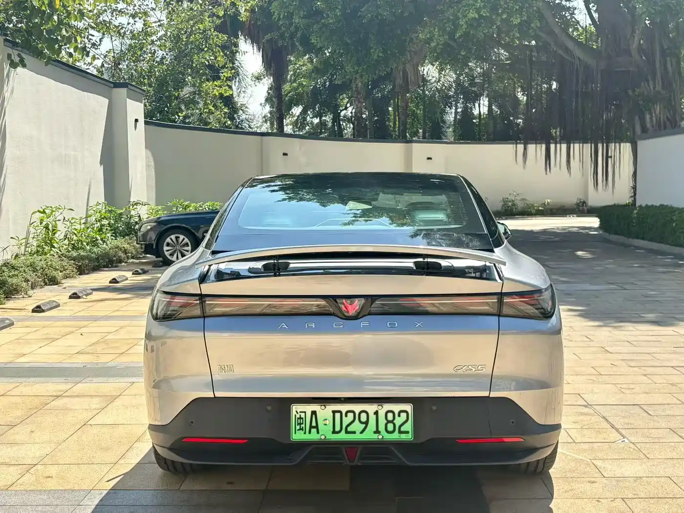 ARCFOX EXTREME FOX POLAR FOX ALPHA S5