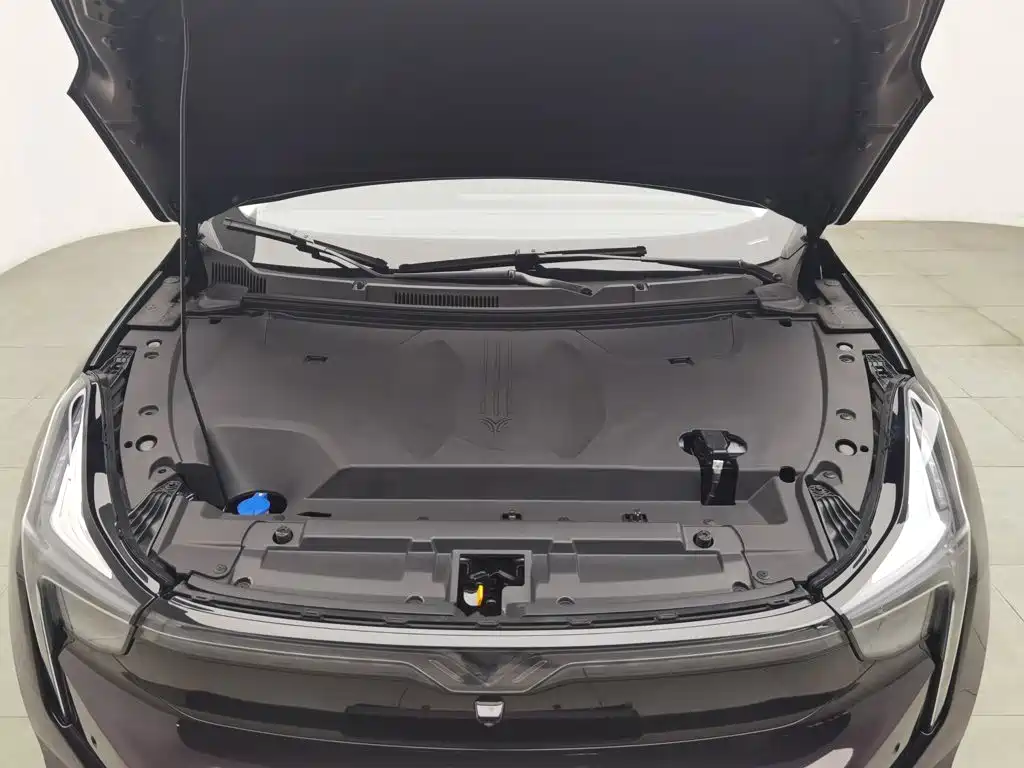 Nezha Auto Neta U 2022 2021 Pro 500 Lunar Edition