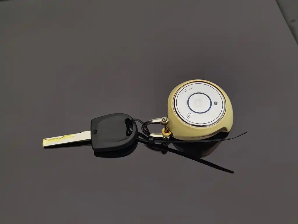 Nezha Auto Neta U 2022 2021 Pro 500 Lunar Edition