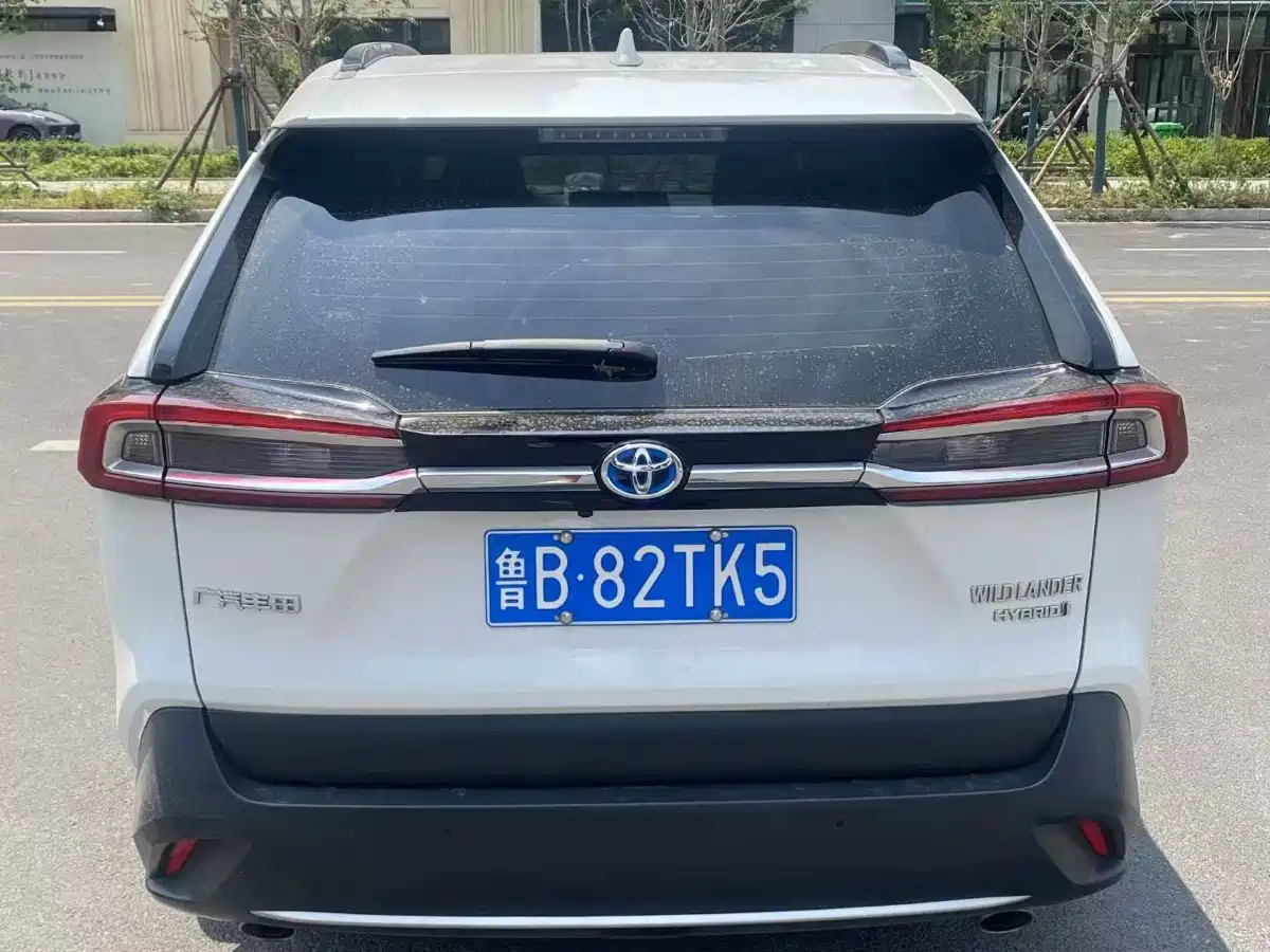 Фото 7 - Toyota Wildlander