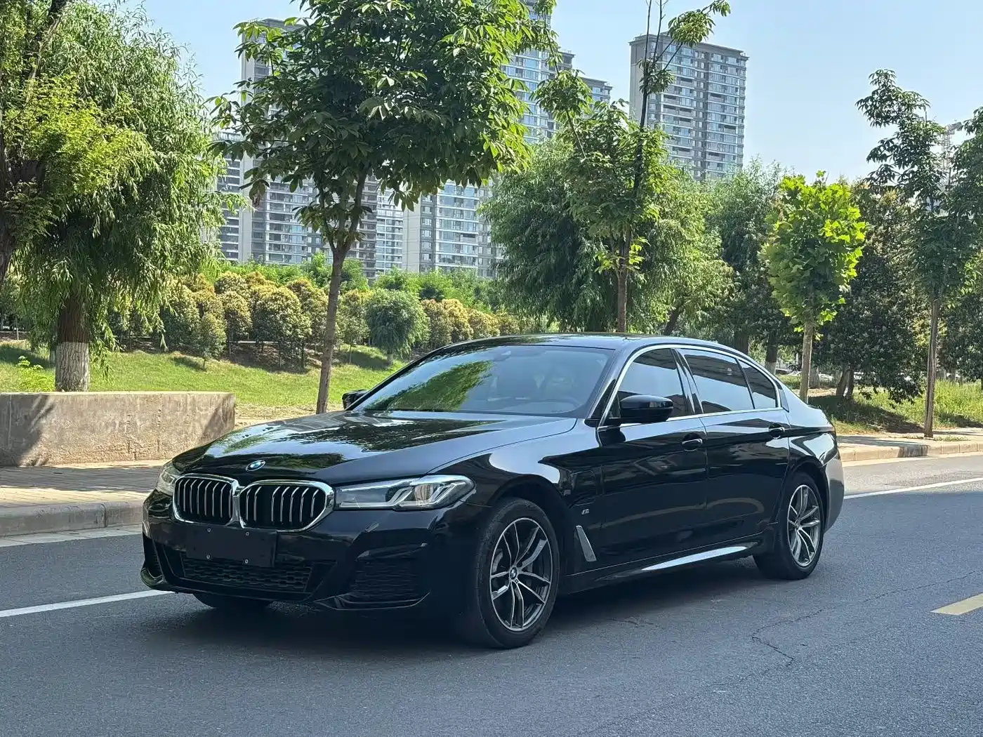 BMW 5 Series New Energy 2020 530Le Range Upgrade Pioneer Edition