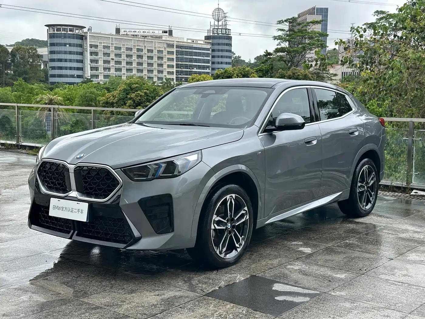 2025 BMW X2 (Import)