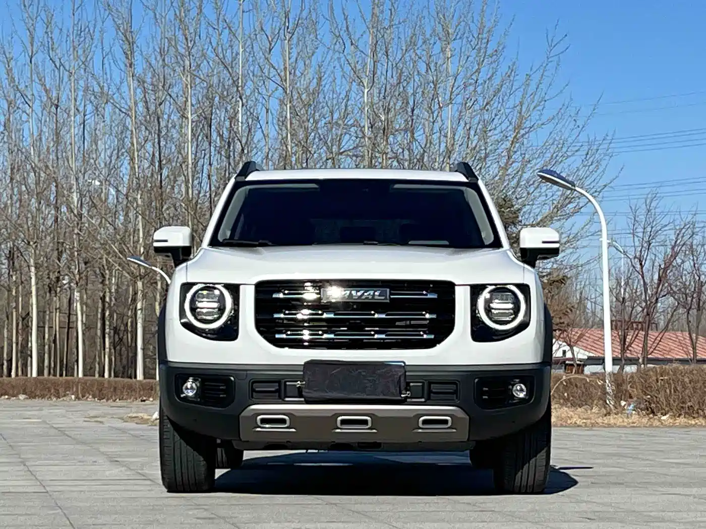 Haval Big Dog 2022 1.5T DCT FWD Border Collie Edition фото 2