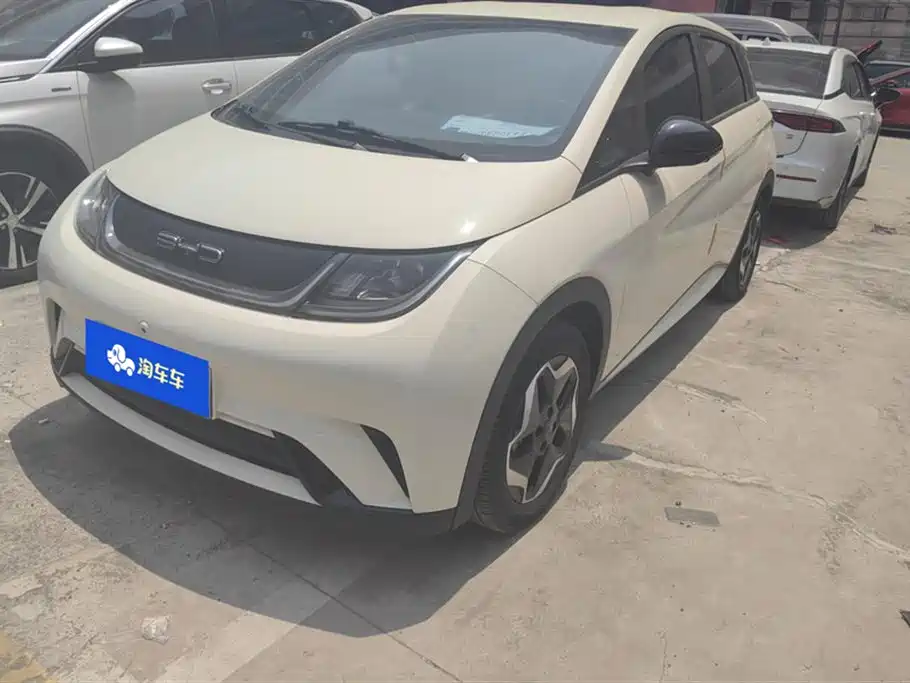 BYD Dolphin 2021 Model 405km Fashion Edition