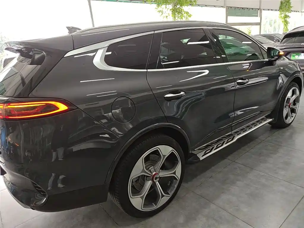 Denza X 2020 PHEV Sport Edition фото 7