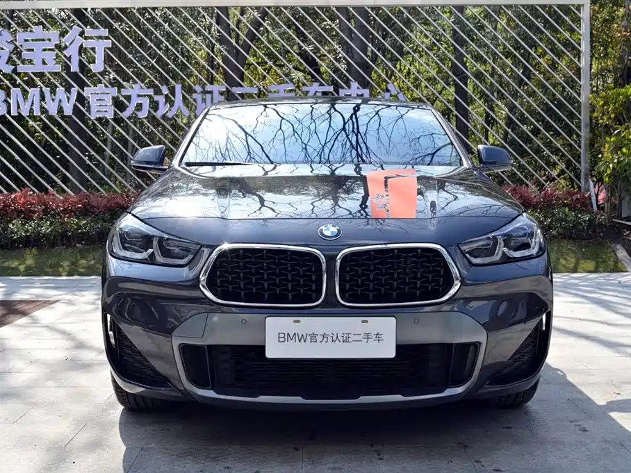 BMW X2