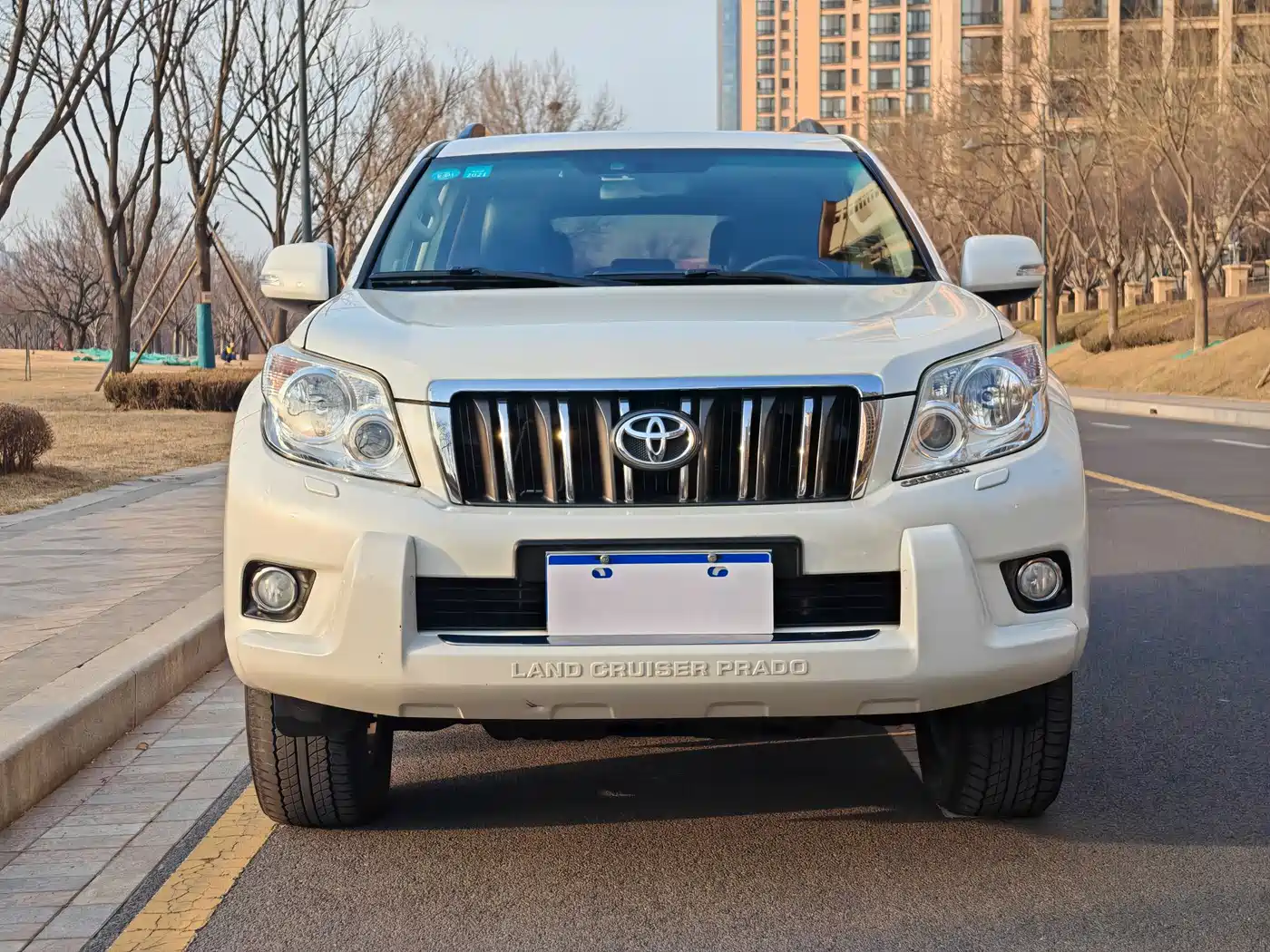 Toyota Prado (Import) фото 2