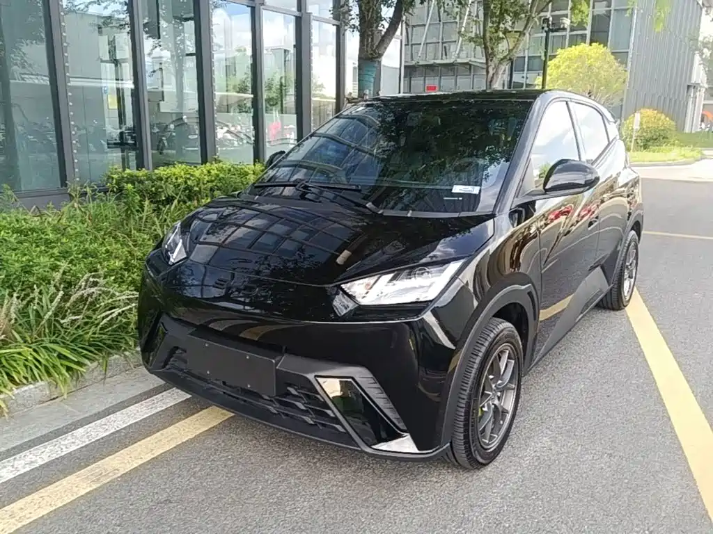 BYD Seagull 2024