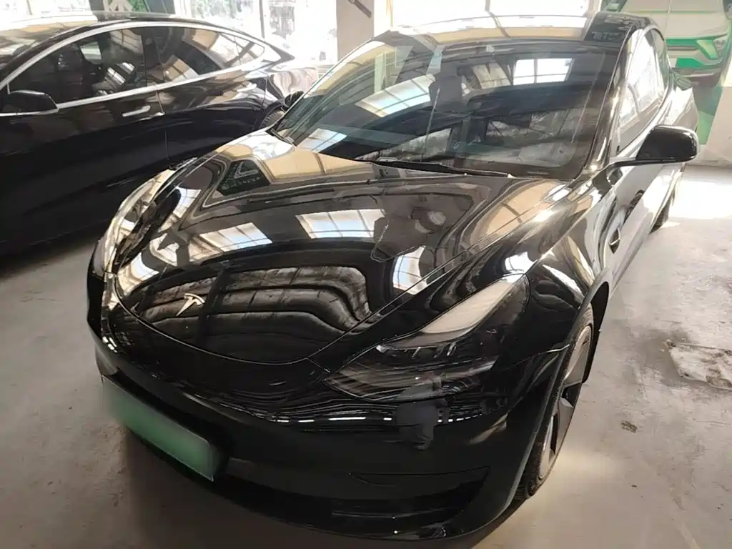 Tesla Model 3 2022 Model Rear-Wheel Drive Version
