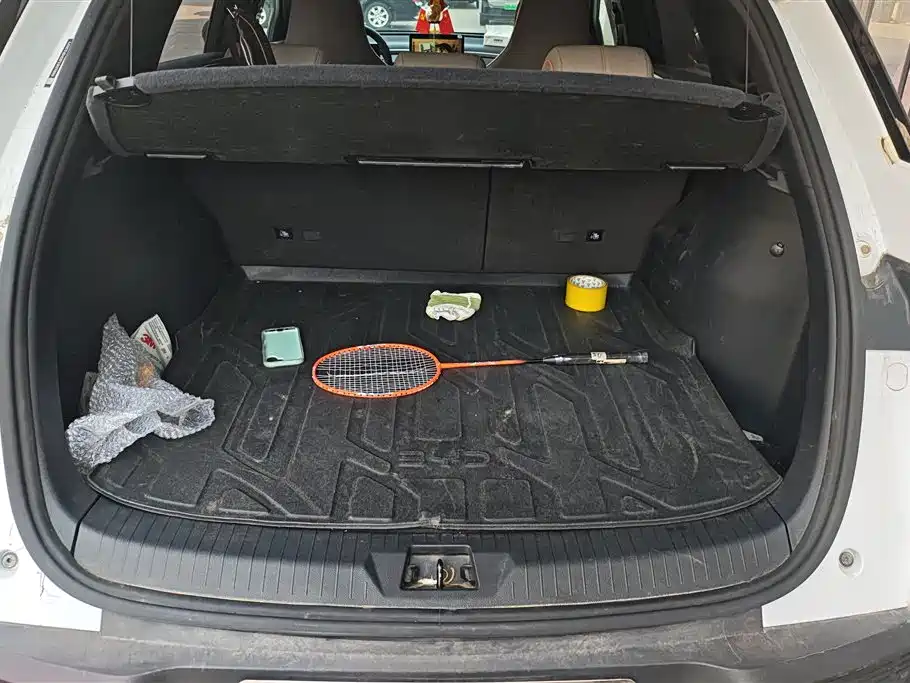 BYD SONGJIANG NEW ENERGY