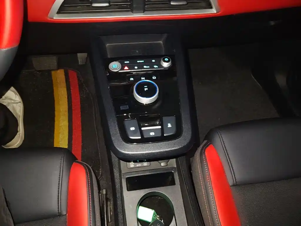 BYD e2 2022 2021 Premium Model
