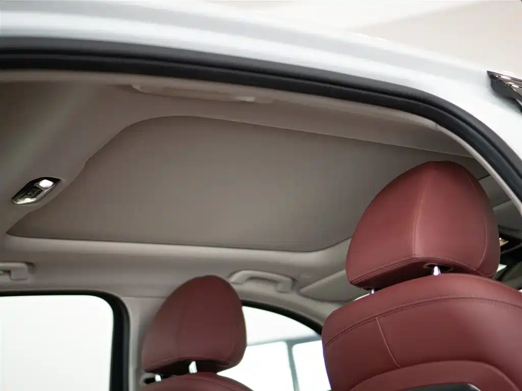 BMW 3 Series 2023 325Li M Sport Black Night Package фото 16