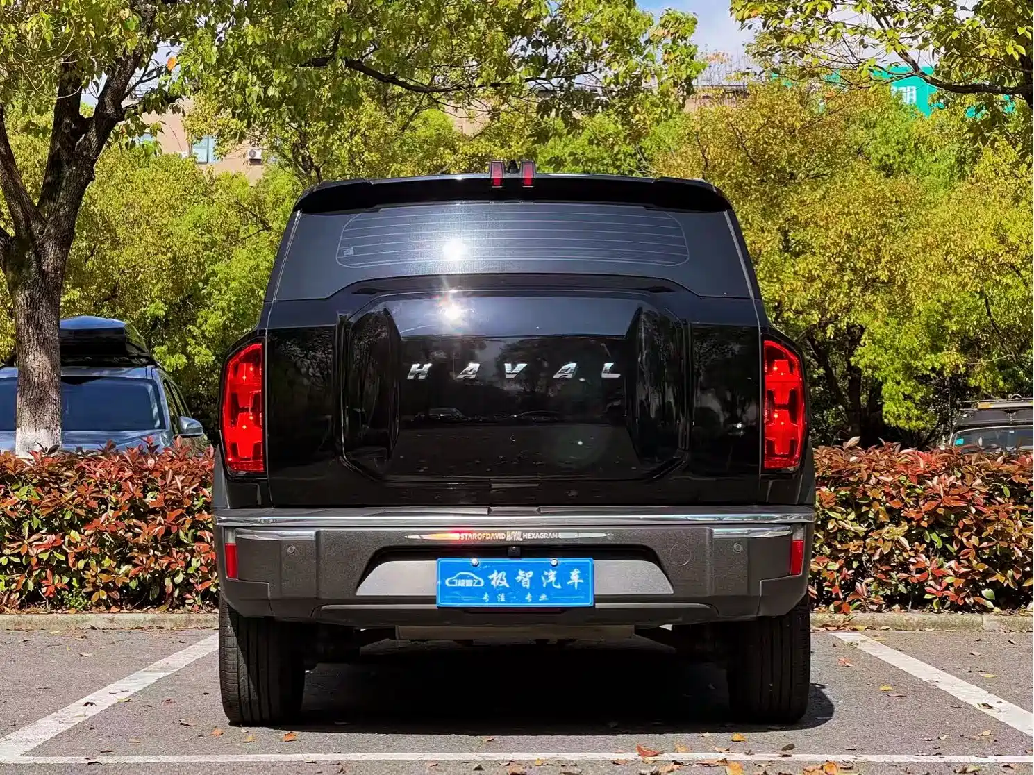 Photo 6 - Haval Cool Dog