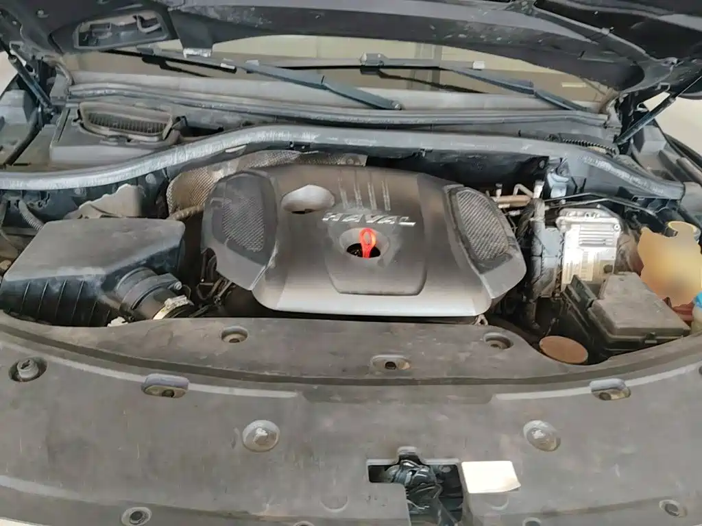 Haval H8 2017 2017 2.0T Gasoline 4WD Enjoyment