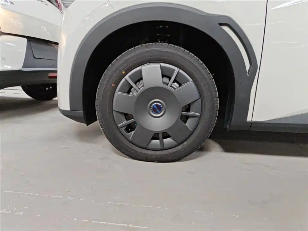 BYD Seagull 2025 Smart Drive Edition 305km Vitality Version фото 23