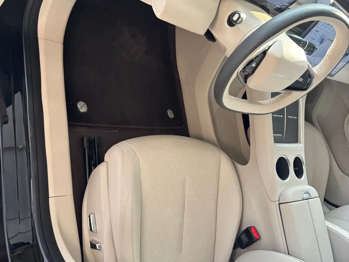 Dongfeng Fengxing Stellar S7 2024 2024 555 Luxury Edition