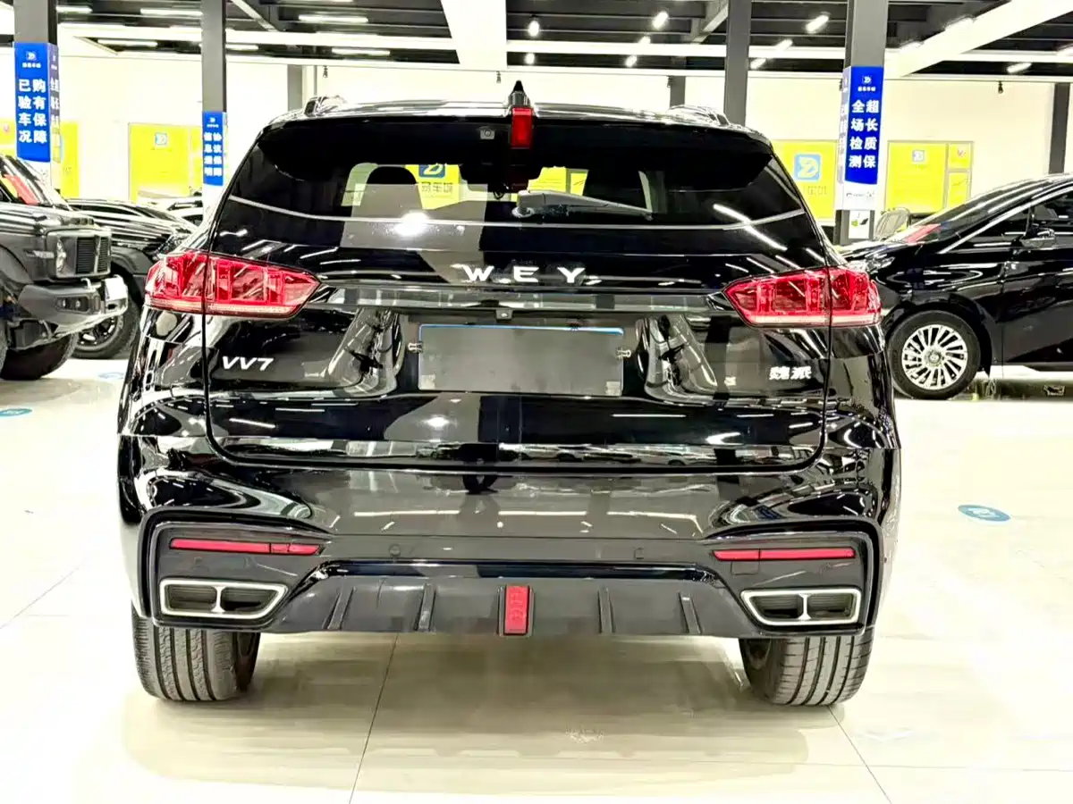 WEI PAI WEI BRAND VV7