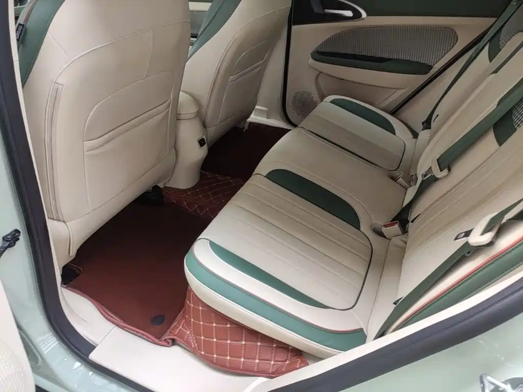 Ora Good Cat 2023 2023 401km Standard Range Luxury LFP