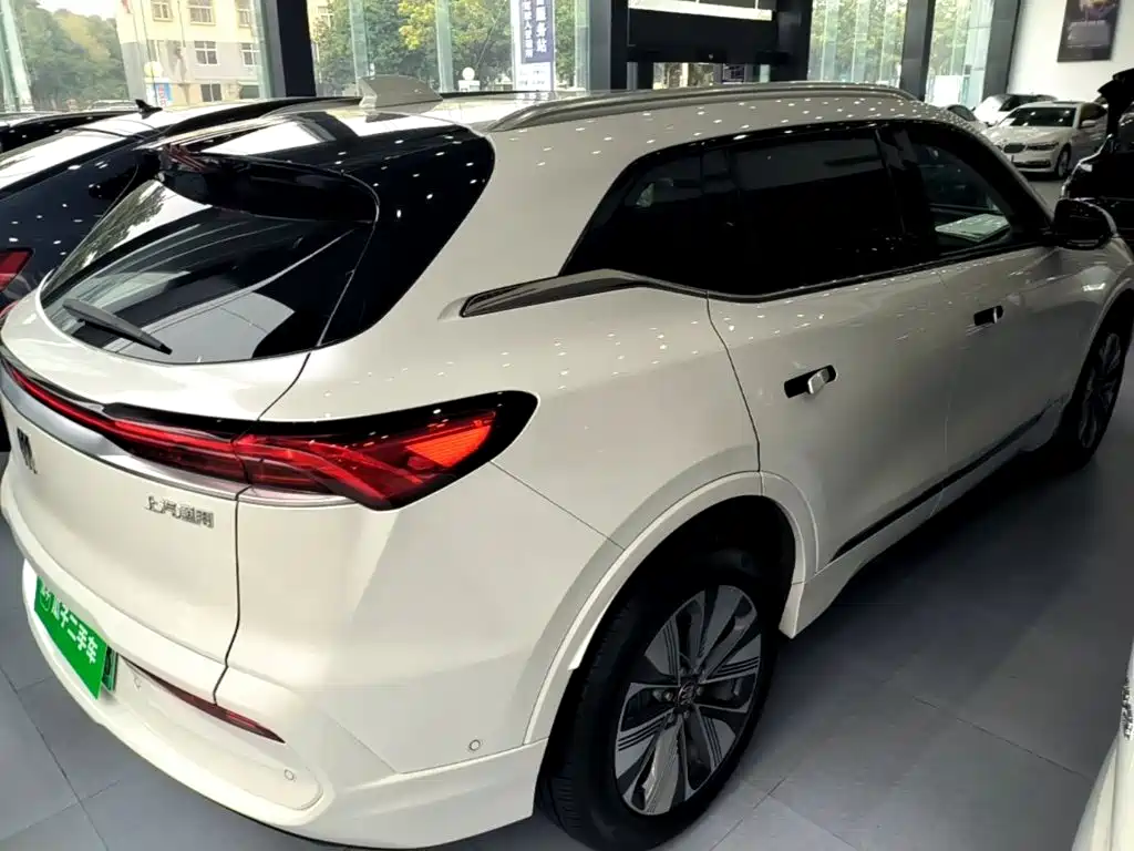 Фото 7 - Buick E5