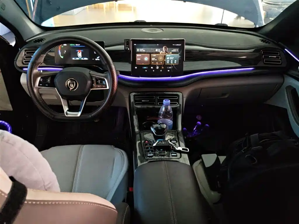 BYD Qin PLUS 2023 Champion Edition DM-i 55KM Leading фото 10