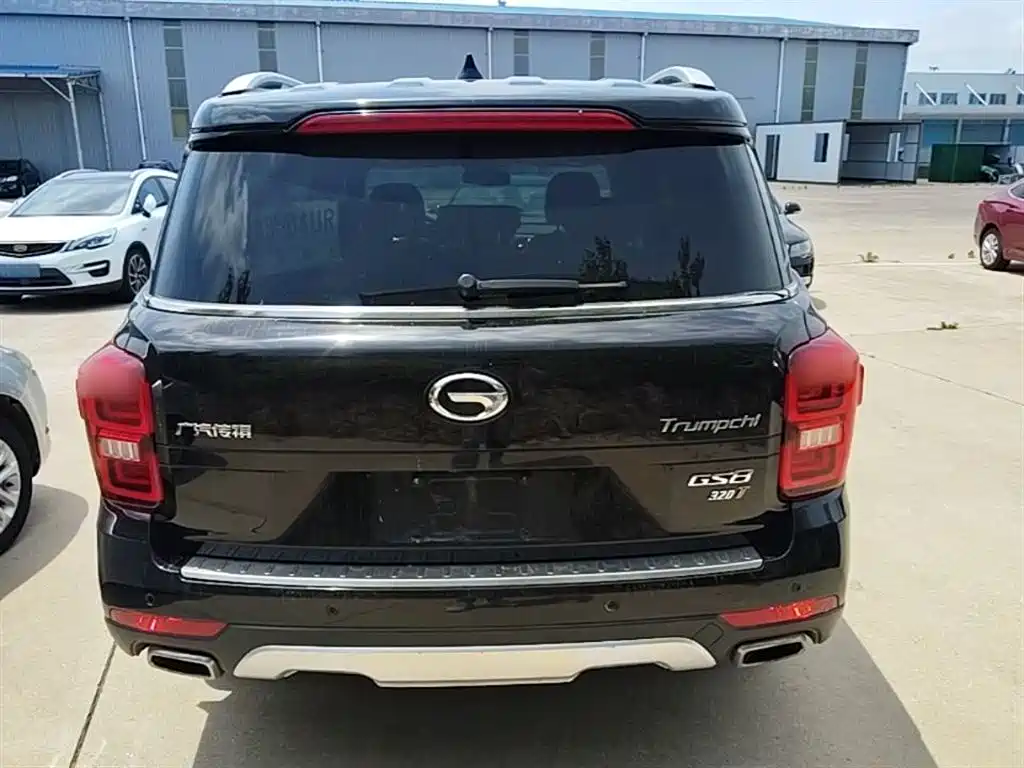 GAC Trumpchi Trumpchi GS8 2017 320T 2WD Luxury Smart Connect (7-seater) фото 6