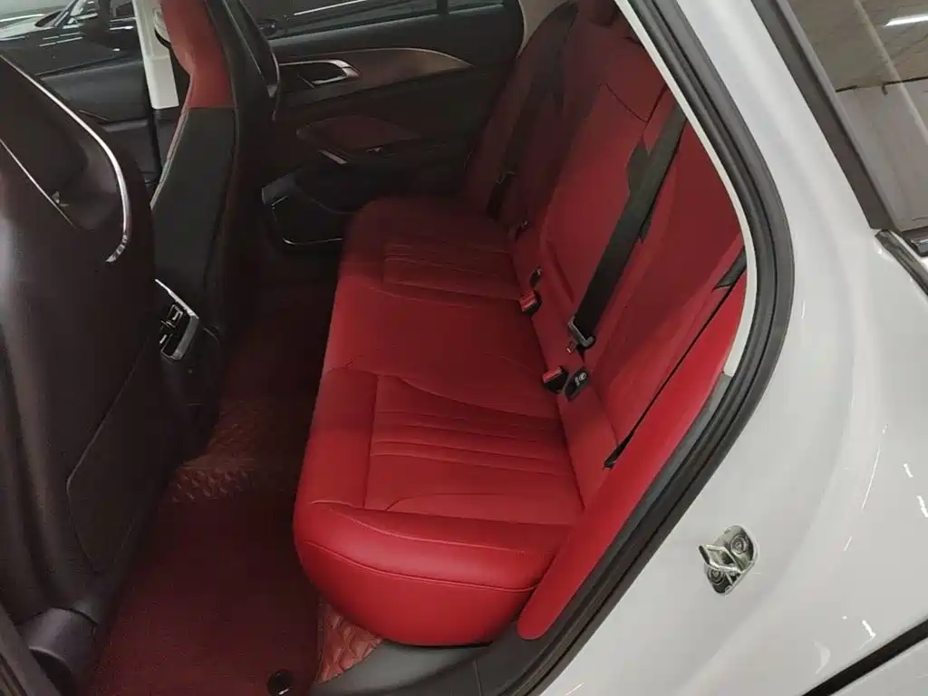 Фото 17 - Hongqi H6