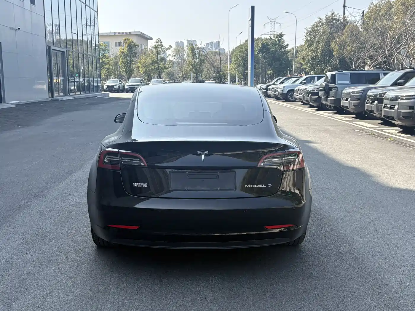 TESLA MODEL 3