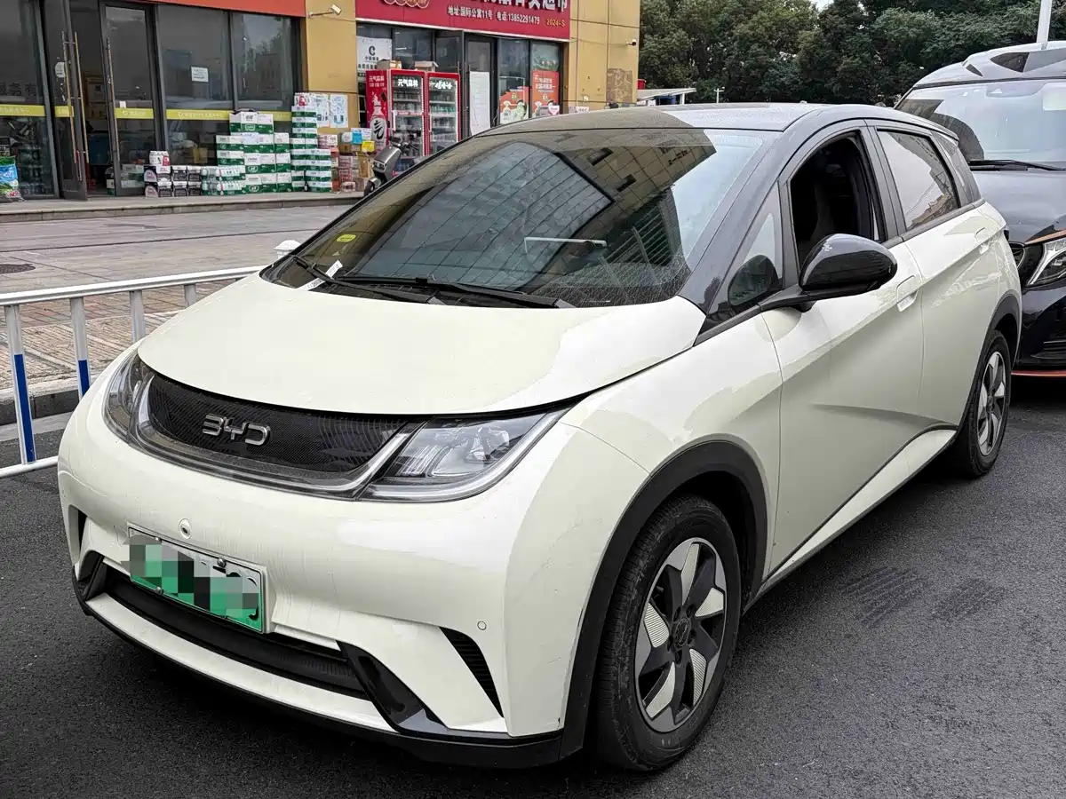 BYD Dolphin 2024 — пригон из Китая