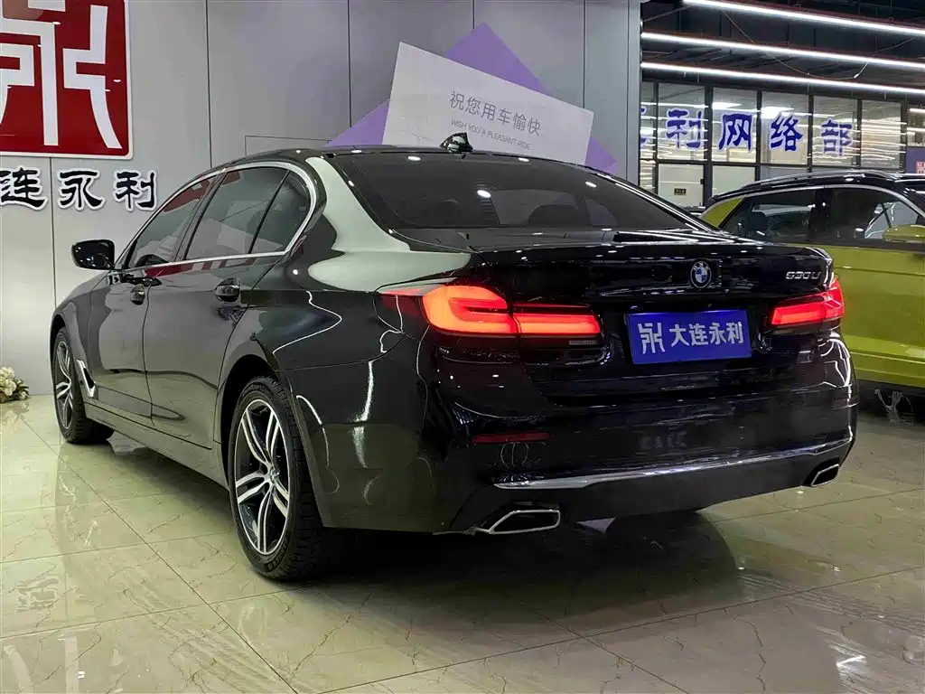 BMW 5 Series 2021 530Li Leading Luxury Package фото 17
