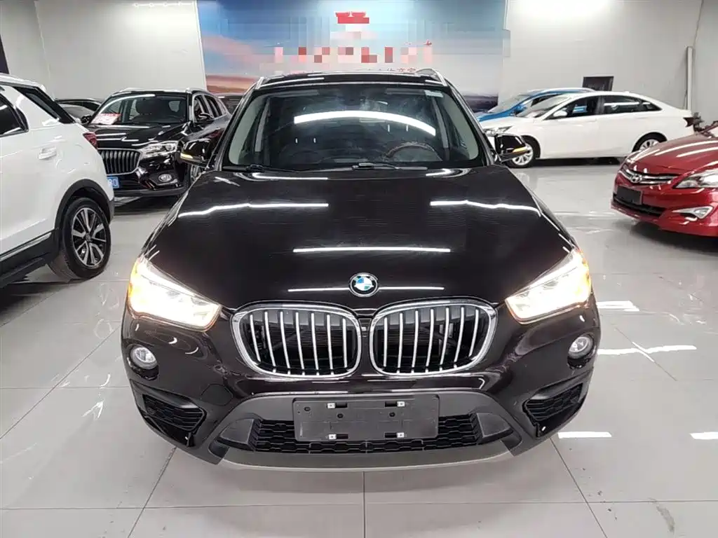 BMW X1 2019 sDrive20Li Leading Model фото 3