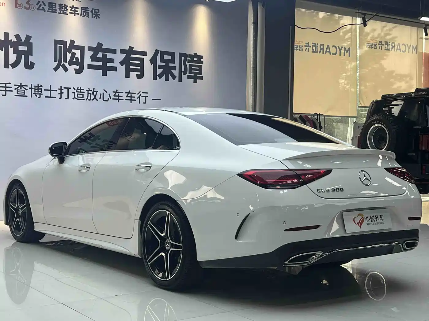 Mercedes-Benz CLS 2022 CLS 300 Luxury фото 14