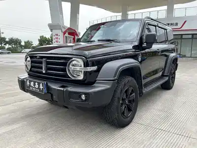 Tank 300