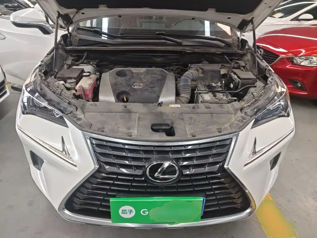 Фото 20 - Lexus NX