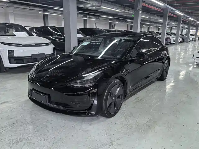 Tesla Model 3 2021 Standard Range Rear-Wheel Drive Upgrade