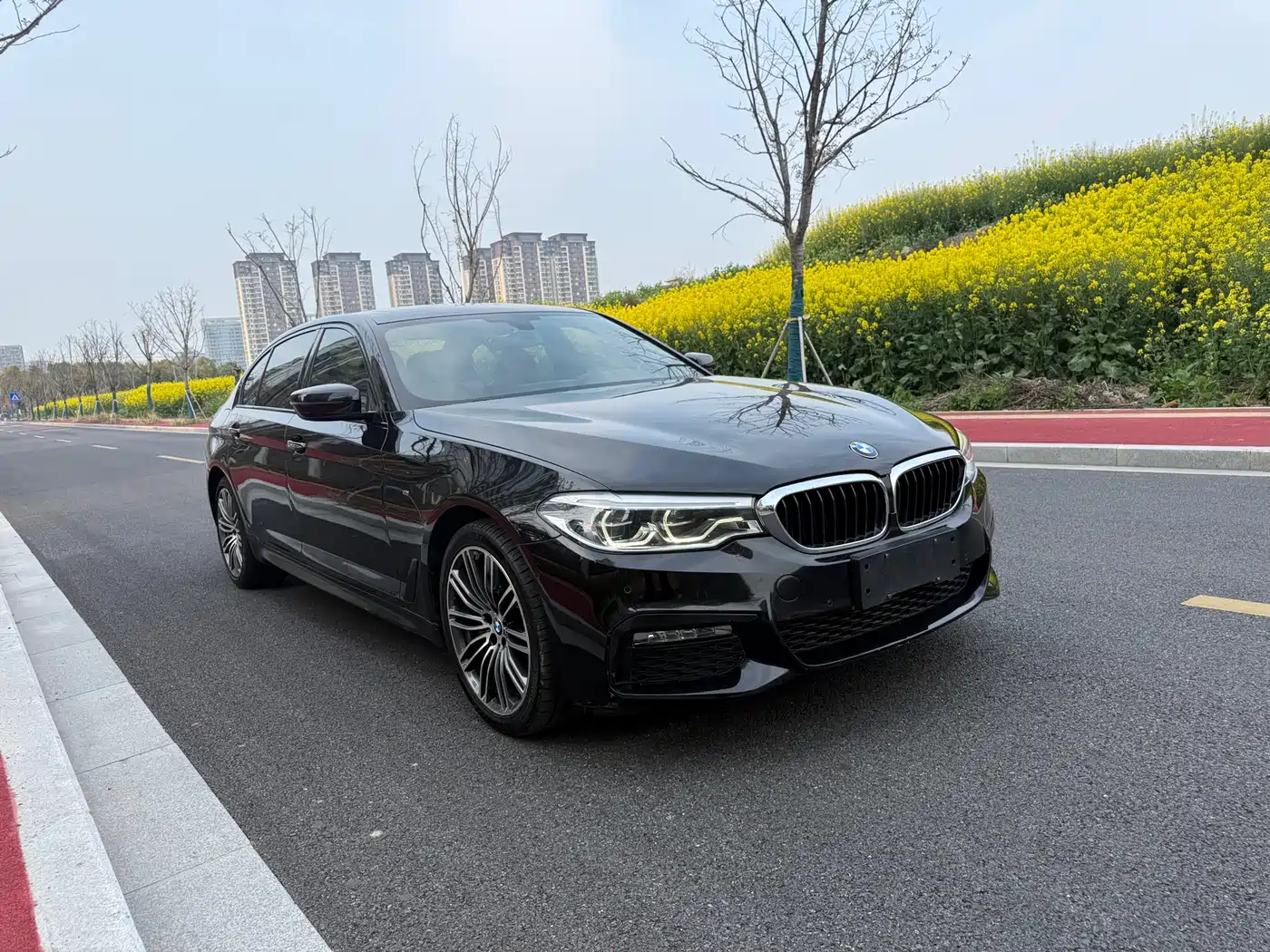 BMW 5 Series 2018 Facelift 530Li Leading M Sport Package фото 4