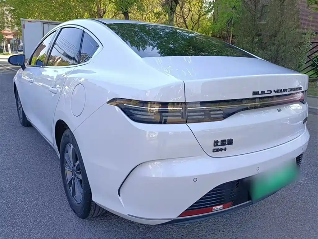 BYD Destroyer 05 2024 Glory Edition DM-i 55KM Luxury фото 4