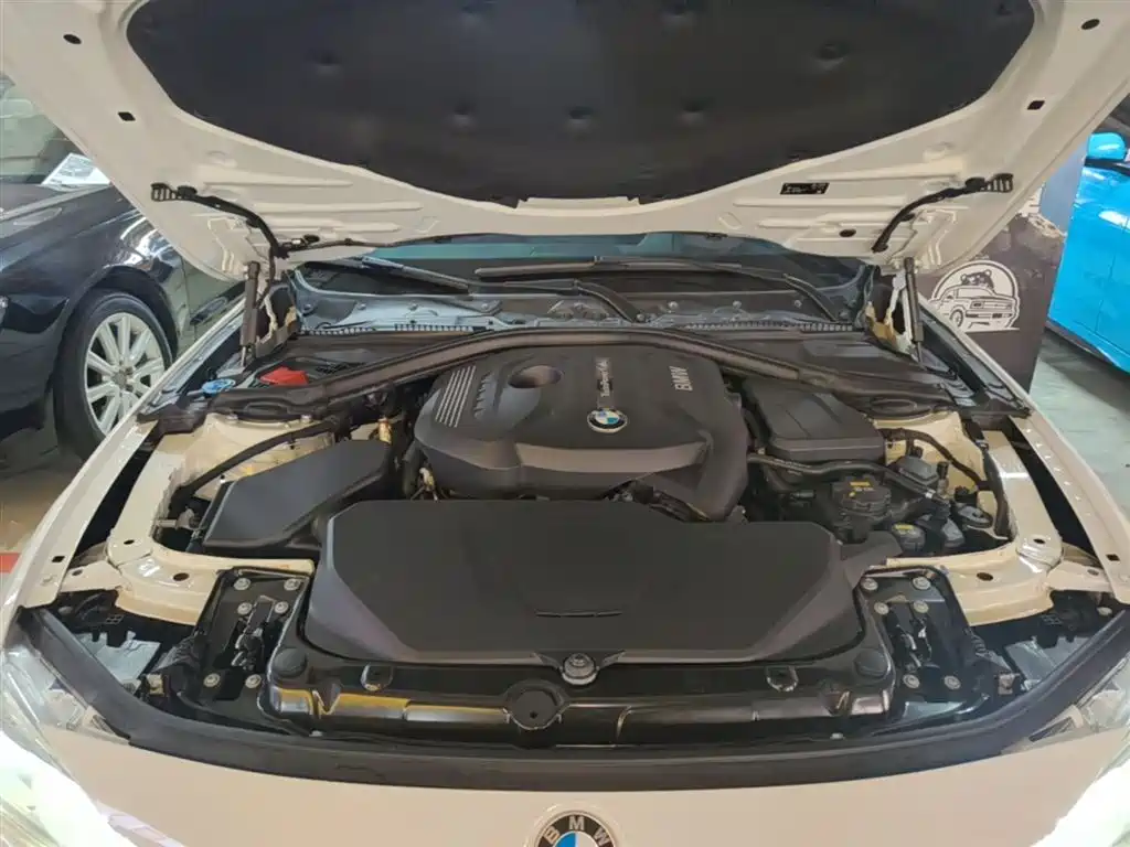 BMW 3 Series 2019 320Li M Sport Black Night Edition фото 20
