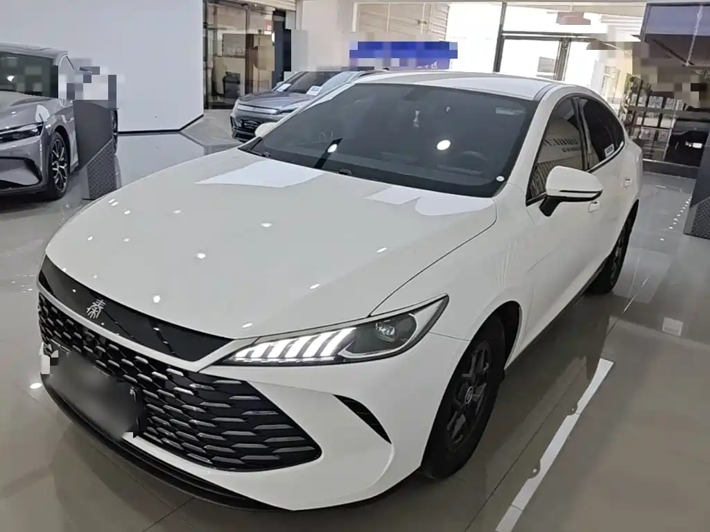 BYD Qin PLUS 2025 DM-i Smart Drive 55KM Leader