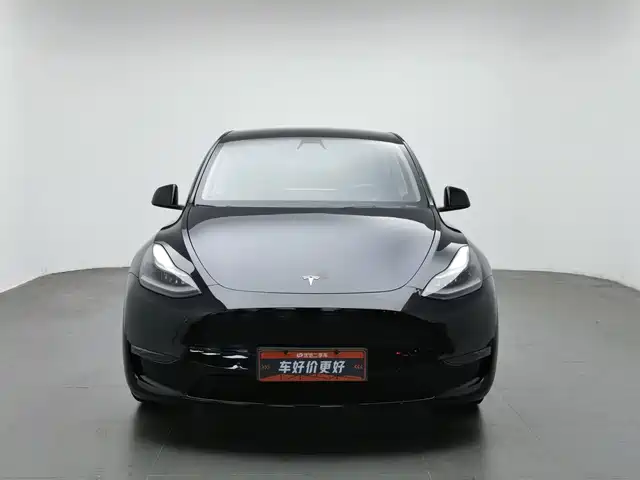 Tesla Model Y 2021 Model Long Range AWD — фото 3