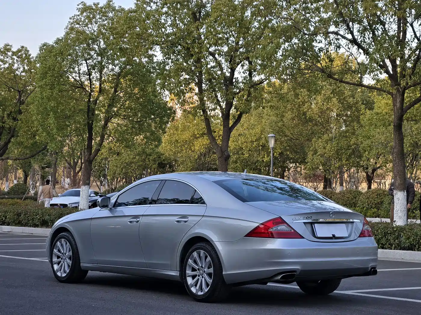 Mercedes-Benz CLS 2009 CLS 300 фото 4