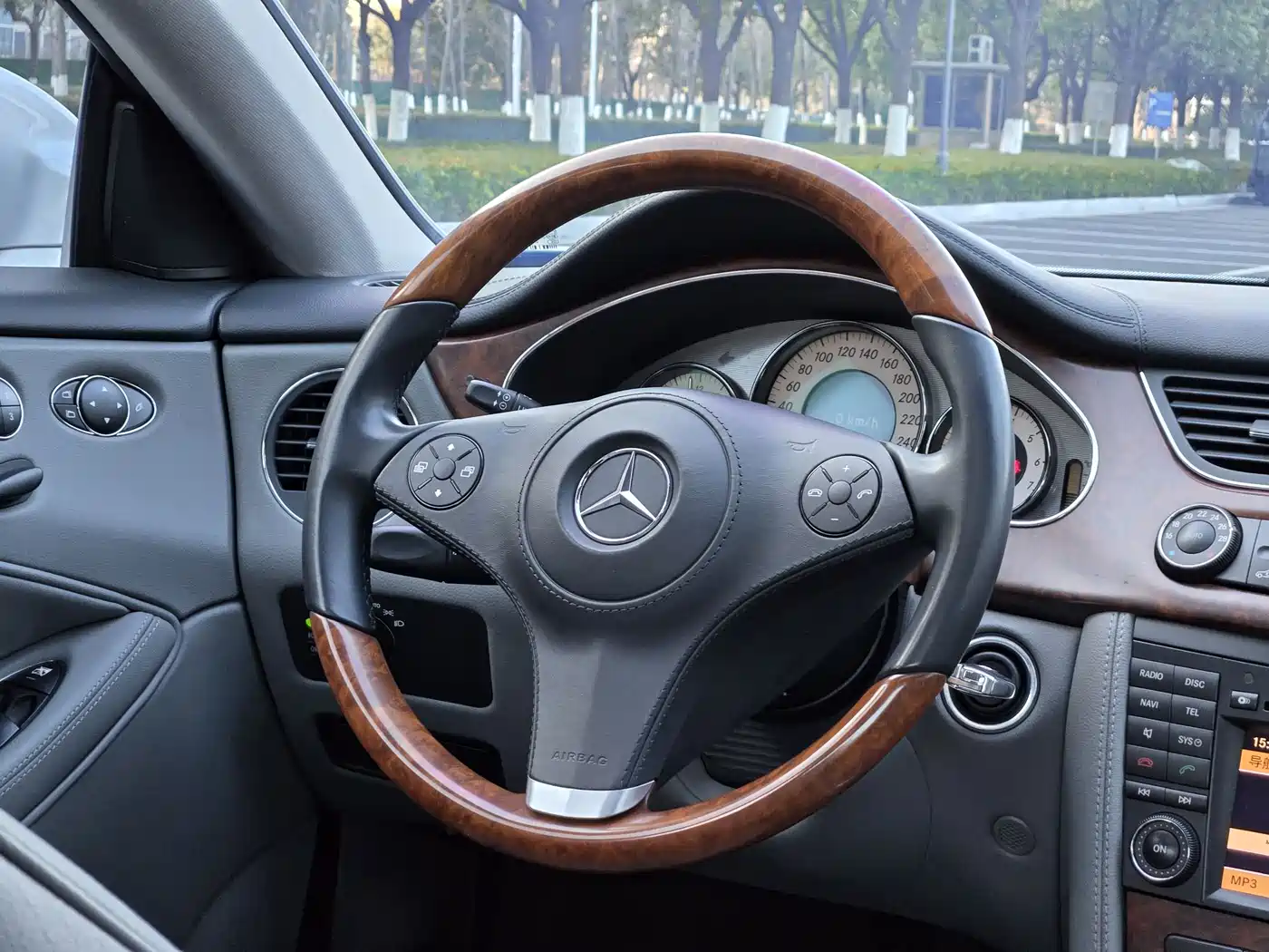 Mercedes-Benz CLS 2009 CLS 300 фото 10