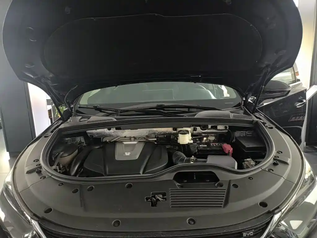 BYD Tang 2019 2018 2.0T Automatic Smart Connection Honor Edition 7-Seater China V