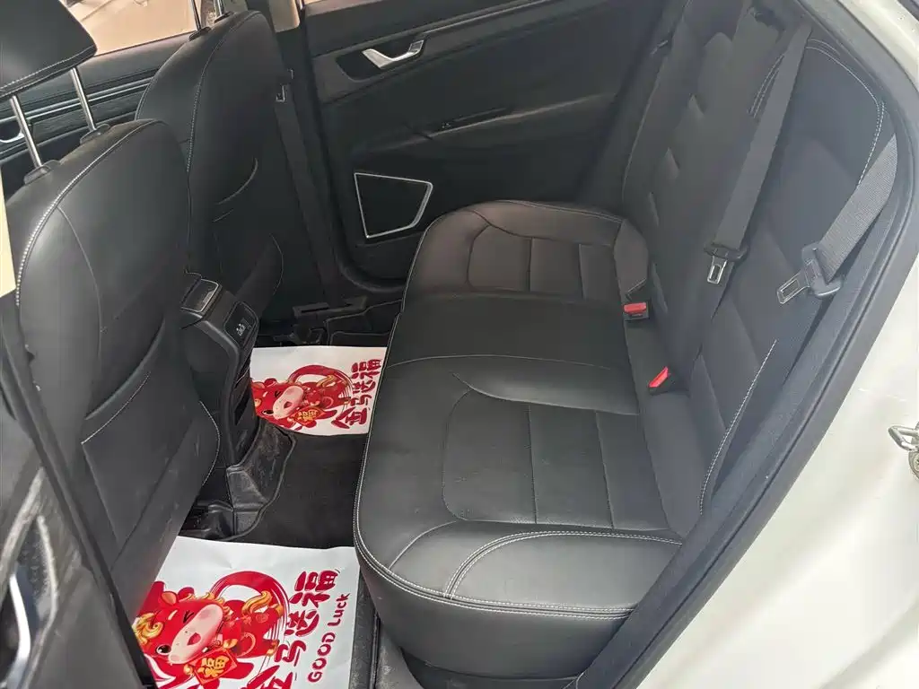 Фото 6 - Geely Emgrand GS
