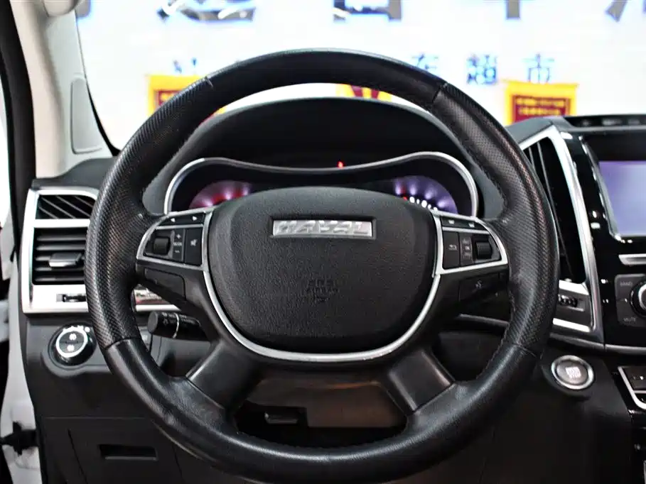 HAVAL H9