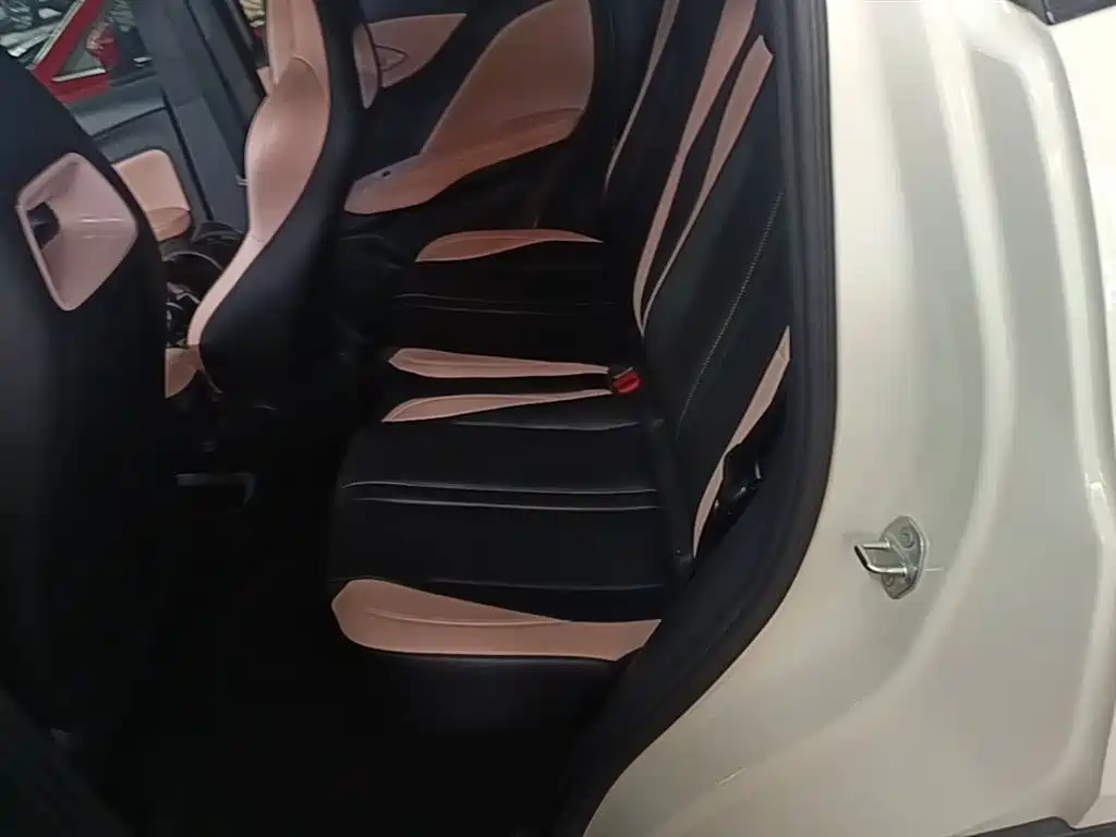 BYD Seagull 2025 305km Vitality фото 17