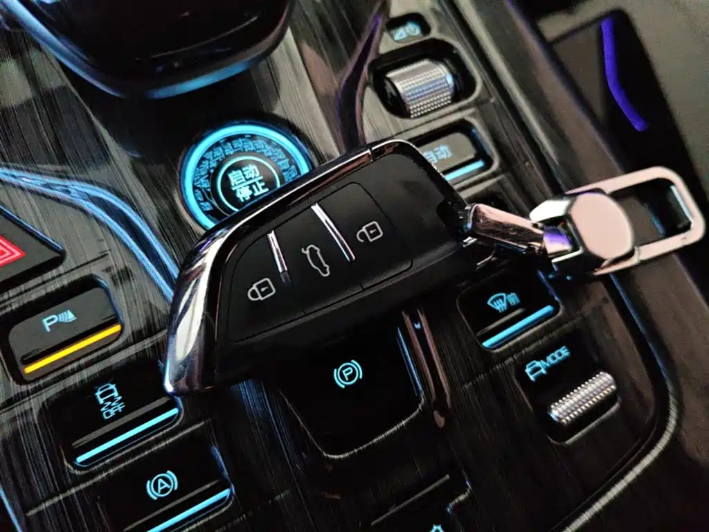 BYD Qin PLUS 2023 Champion Edition DM-i 55KM Leading фото 9