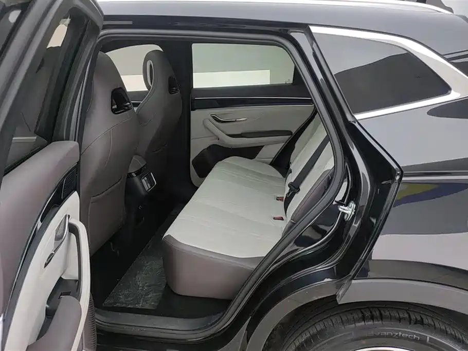 BYD Song PLUS PHEV 2025 DM-i 112KM Honor фото 11