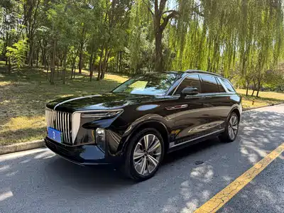 Hongqi E-HS9